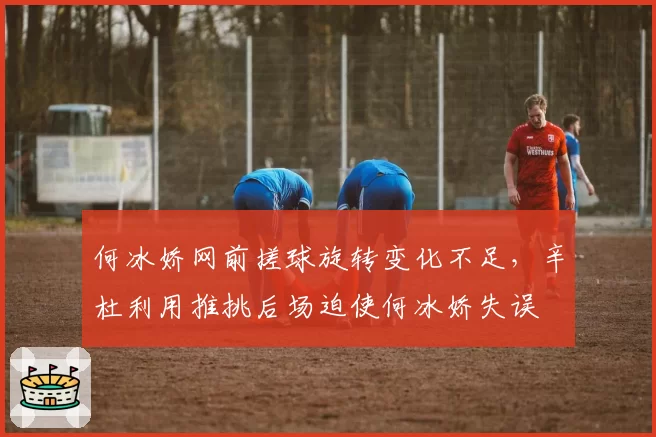何冰娇网前搓球旋转变化不足，辛杜利用推挑后场迫使何冰娇失误