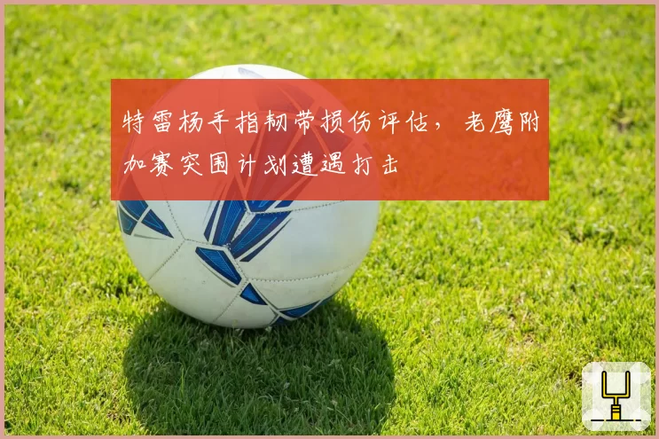 特雷杨手指韧带损伤评估，老鹰附加赛突围计划遭遇打击