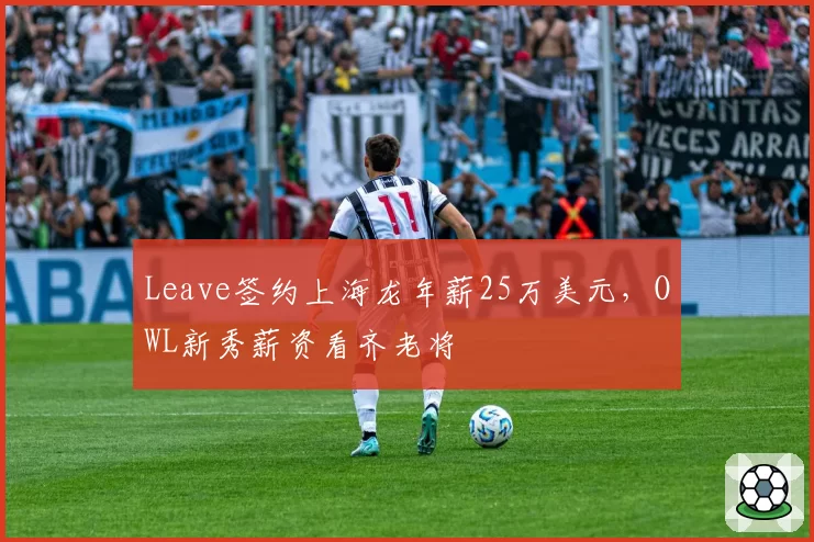 Leave签约上海龙年薪25万美元,OWL新秀薪资看齐老将