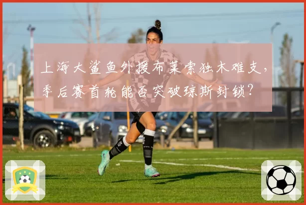 上海大鲨鱼外援布莱索独木难支,季后赛首轮能否突破琼斯封锁?