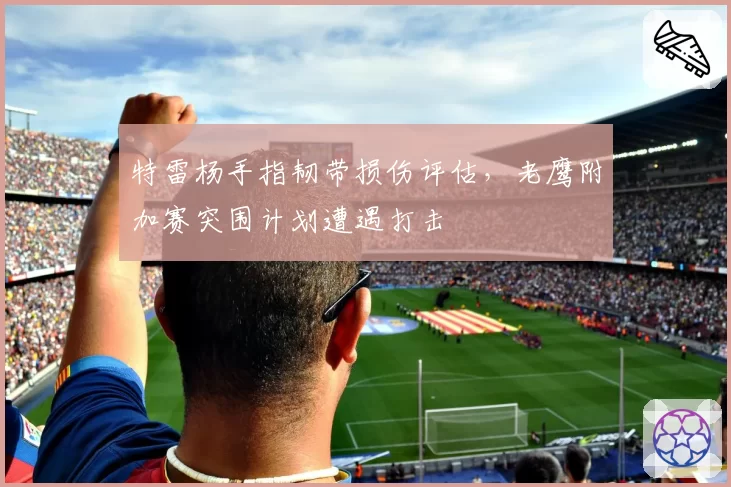 特雷杨手指韧带损伤评估，老鹰附加赛突围计划遭遇打击