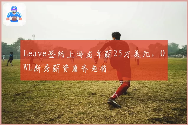 Leave签约上海龙年薪25万美元,OWL新秀薪资看齐老将