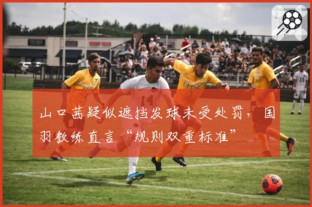 山口茜疑似遮挡发球未受处罚,国羽教练直言“规则双重标准”